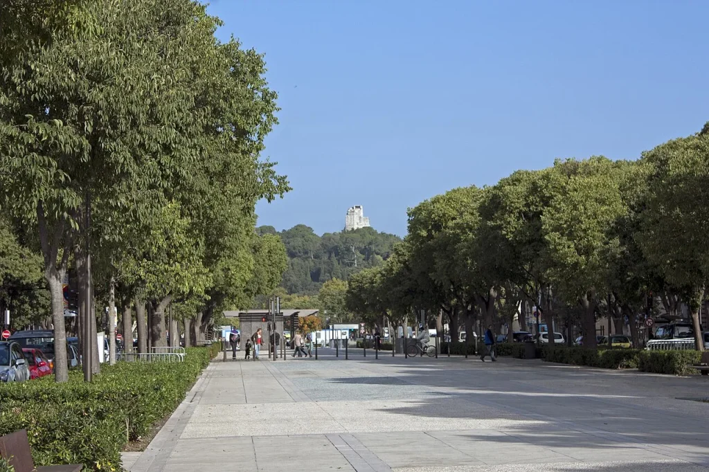Les allées Jean Jaurès à Nîmes, à l’est du collège Jules Verne.