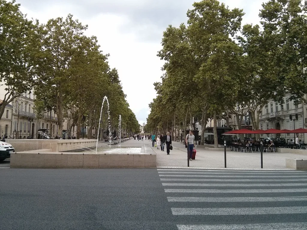 L’avenue Feuchères à Nîmes, où se situe le collège Feuchères.