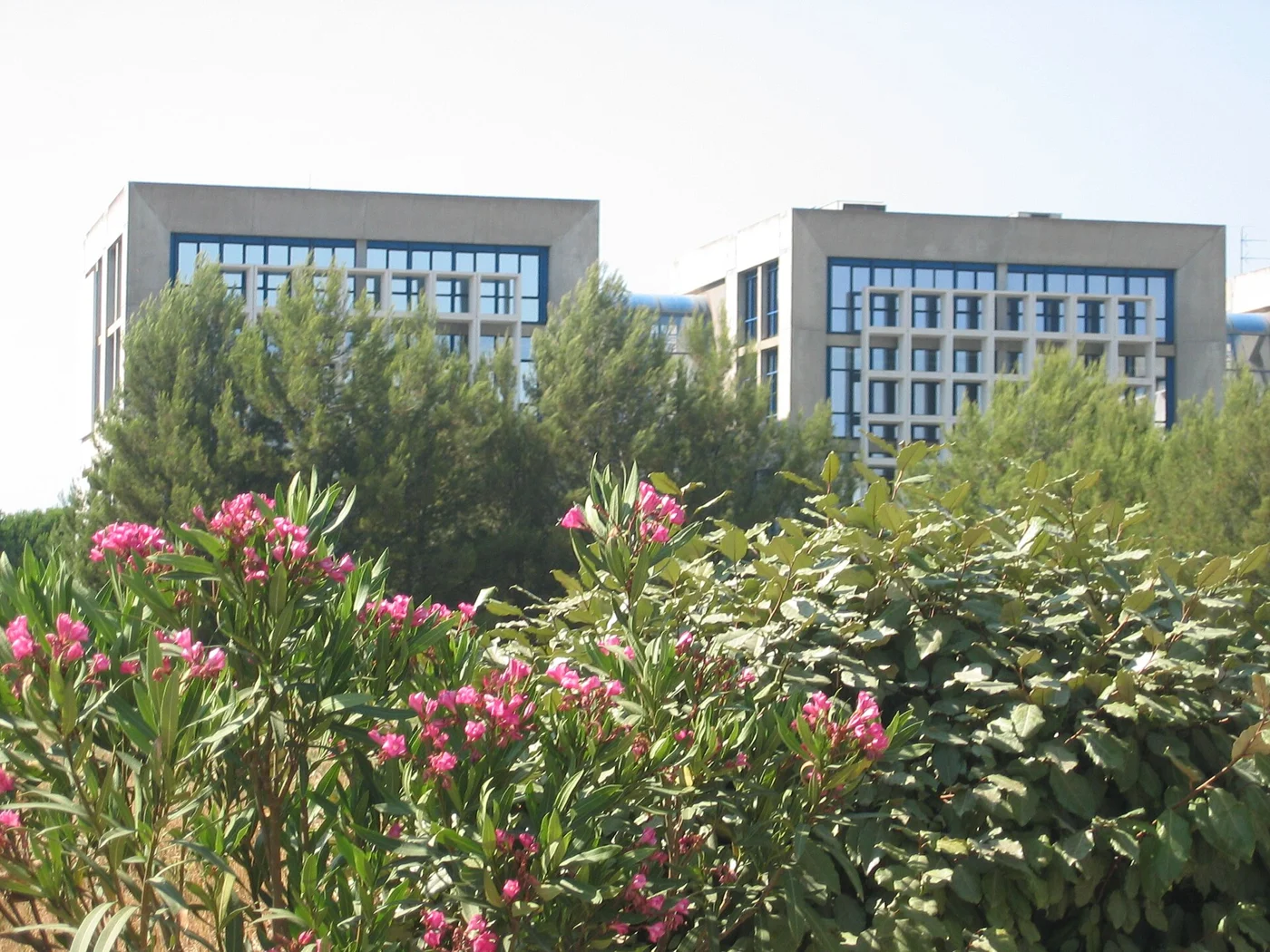 Le parc scientifique et technique Georges-Besse à Nîmes, secteur de la FFB du Gard. Vue de 2006. Vue du quartier, distincte de l’accueil.